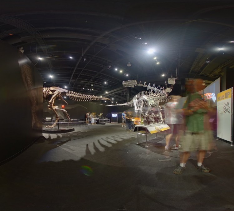 American Museum of Natural History Dinosaur Gallery (Columbus,&nbspOH)